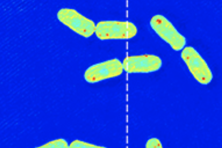 Towards entry "Recent paper with Guck and Alberti labs"