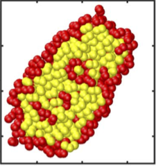 Biofilms and physics of bacterial colonies