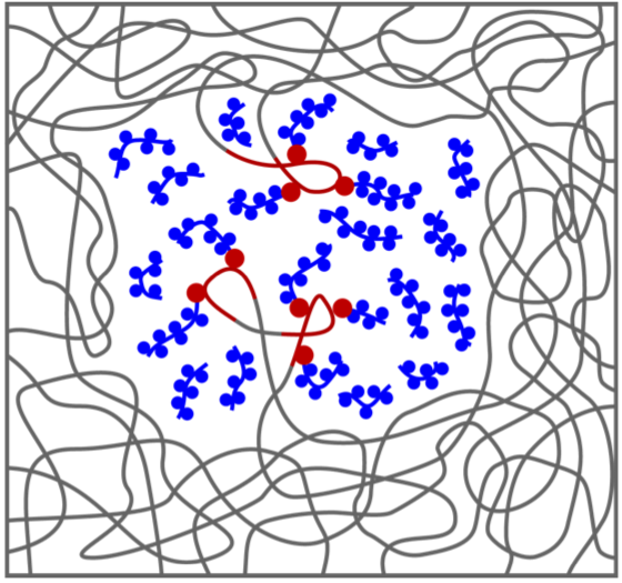 Chromatin as active microemulsion