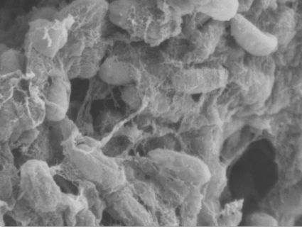 Symbolic picture for the article. The link opens the image in a large view.